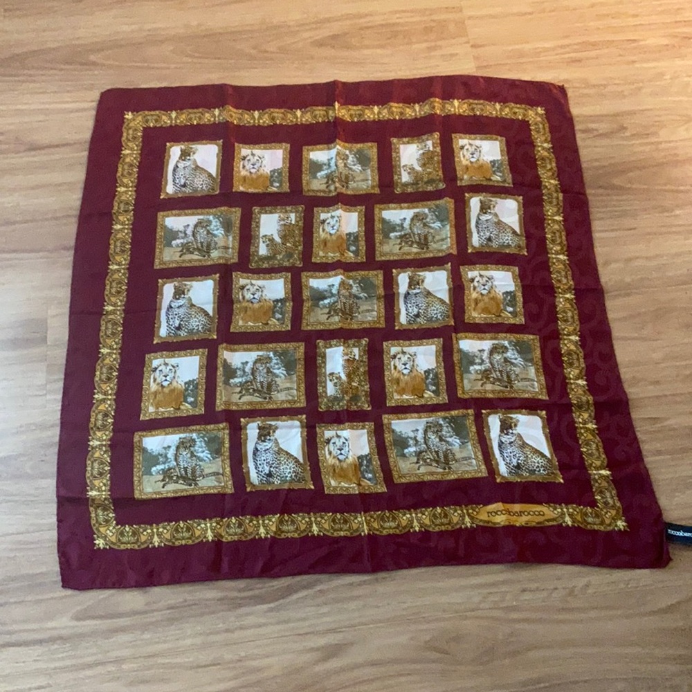 Beautiful Scarf - image 2